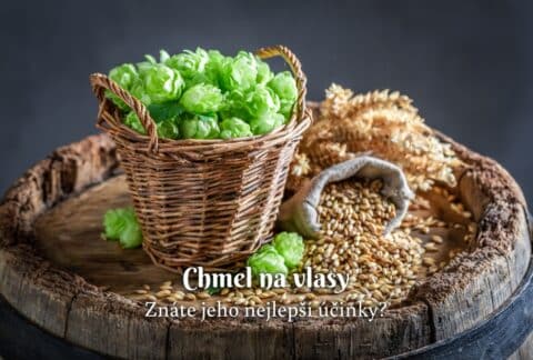 chmel na vlasy